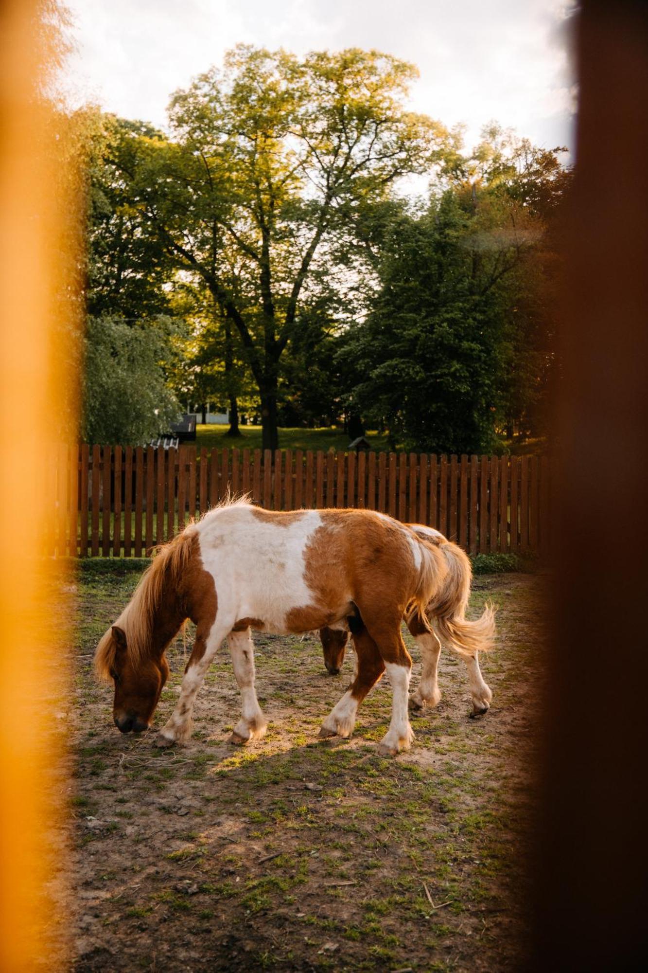 Palac Srodka Chrzypsko Wielkie Esterno foto