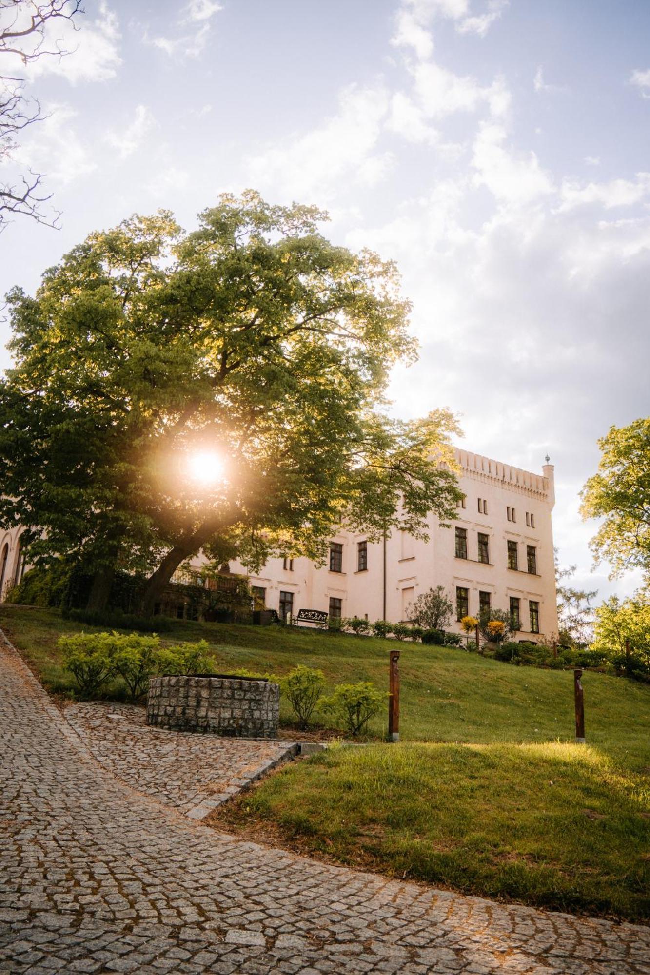 Palac Srodka Chrzypsko Wielkie Esterno foto