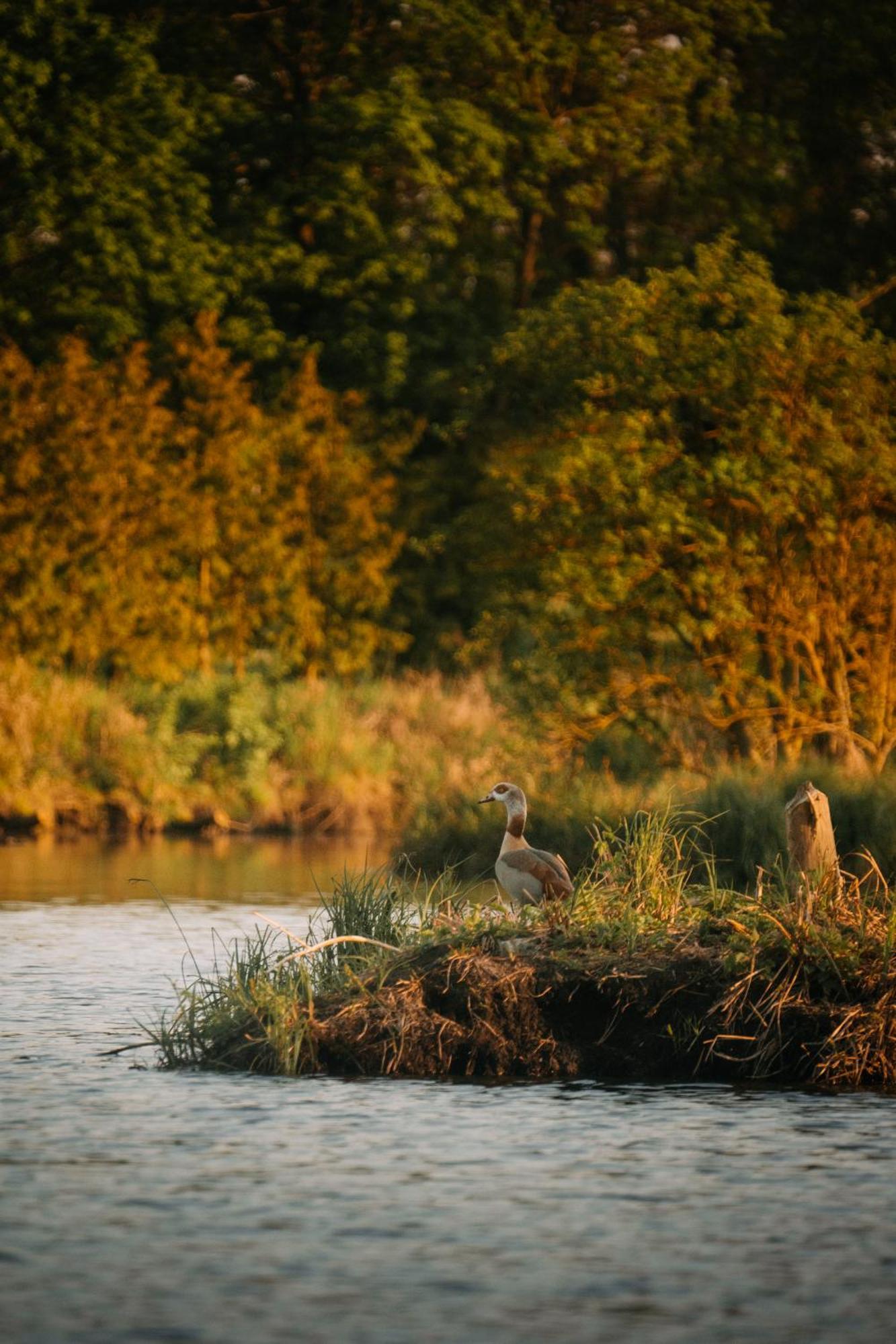 Palac Srodka Chrzypsko Wielkie Esterno foto